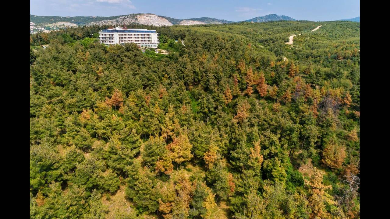Απίστευτο! Δάση καίγονται και εκείνοι άναψαν ψησταριά στο Σέιχ Σου!